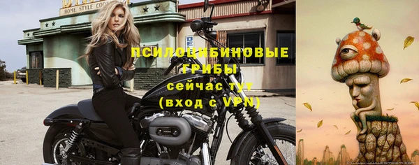 винт Армянск