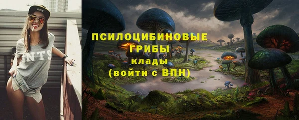 кокс Аркадак